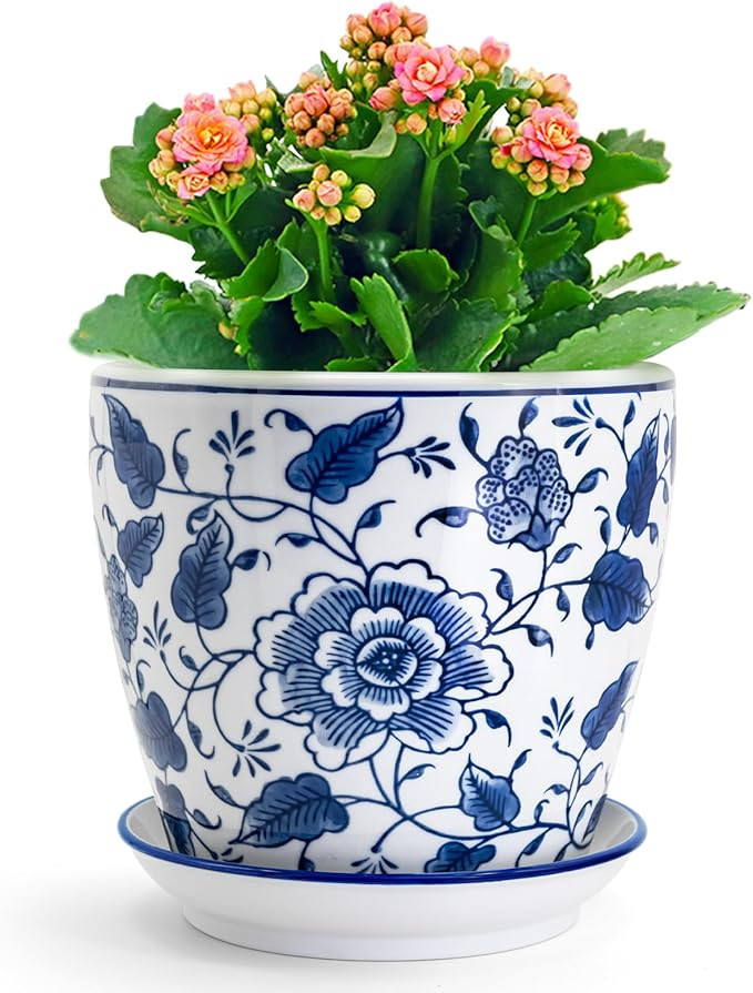 8 inch Ceramic Planters for Indoor Plants, Chinoiserie Decor Ceramic Pots for Plants Flower Plant... | Amazon (US)