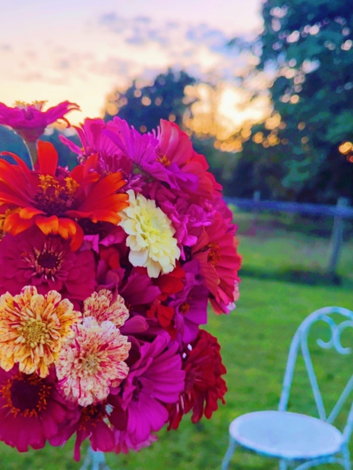 s w e e t  l a t e  s u m m e r  l o v i n ‘ 🌼 -  farm fresh flower 💐 pickin’ with my loves 👶🏼🦋, momco ad church 💒, bubbles 🫧 and backyard fun 🐓, homeschool preschool 🍎 sweetness 📖, chalk play 🎨 and rainbow 🌈 eggs 🥚, tball practice ⚾️, daddy surprising mama with the first PSL 🎃 of the season as we are so close to fall 🤭, and so much more!! 🏡🌾🌿🧺 #thesearethedays #wednesdaycameraroll #homegrowngoodness #sweetsummerlovin