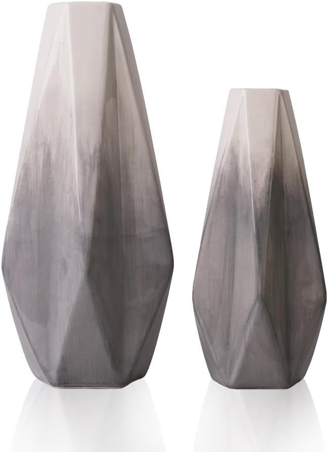 TERESA'S COLLECTIONS Ceramic Flower Vase, Set of 2 Grey and White Modern Geometric Decorative Vas... | Amazon (US)