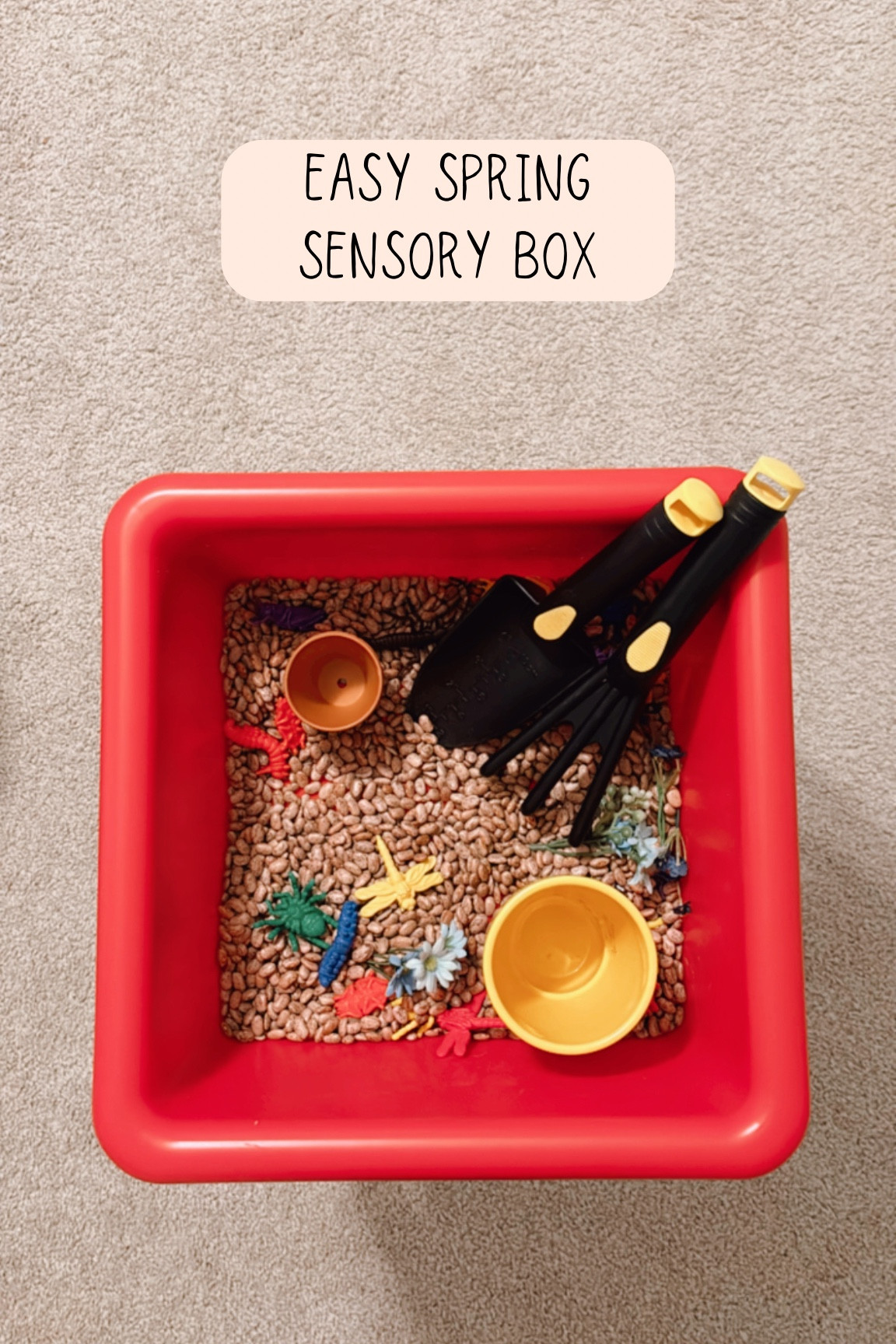 Here’s an easy idea for a spring sensory bin for toddlers! 


#LTKfamily #LTKSeasonal #LTKkids