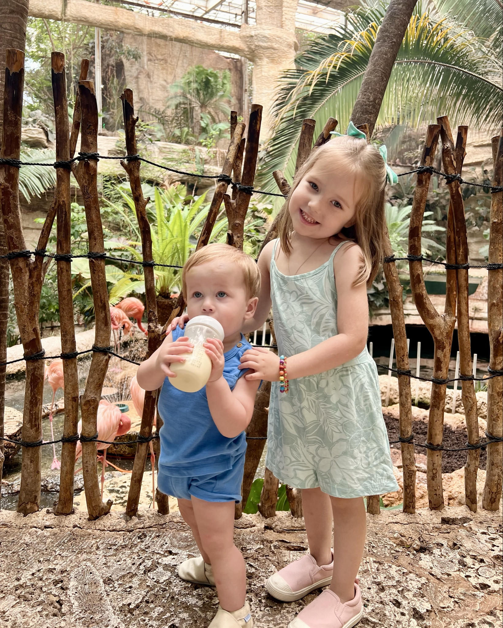 Took my flock to see the flamingos! 🦩
Had the best time at the Dallas World Aquarium seeing sharks, turtles, and a playful manatee. Plus 1 million birds! 

#LTKFindsUnder50 #LTKFamily #LTKKids
