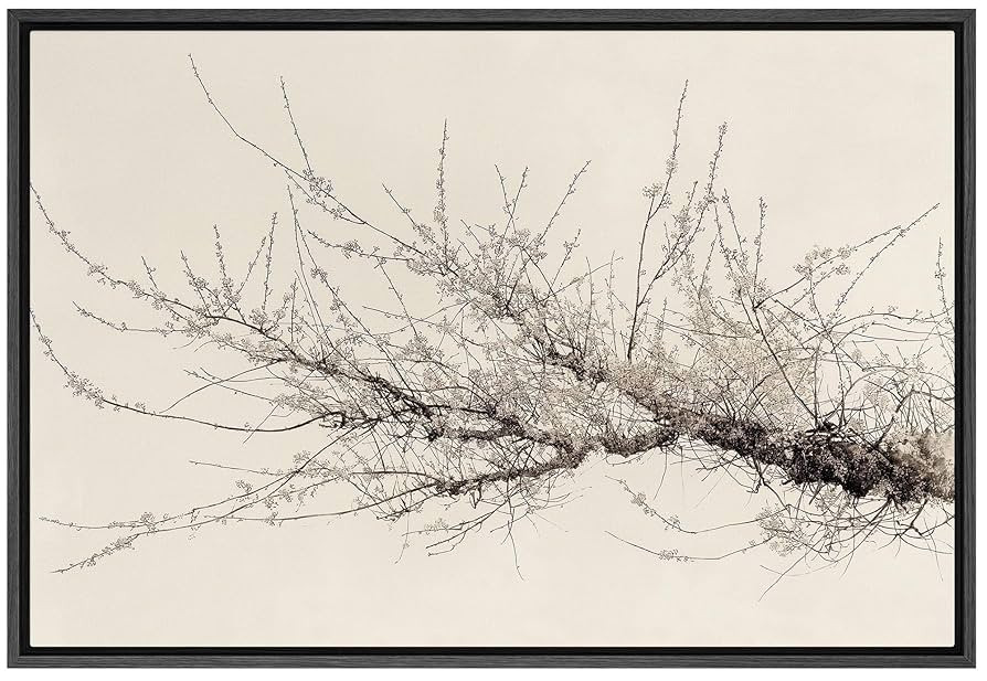 SIGNFORD Framed Canvas Print Wall Art Minimalist Branch with Blossoms in Sepia Tones Illustration... | Amazon (US)