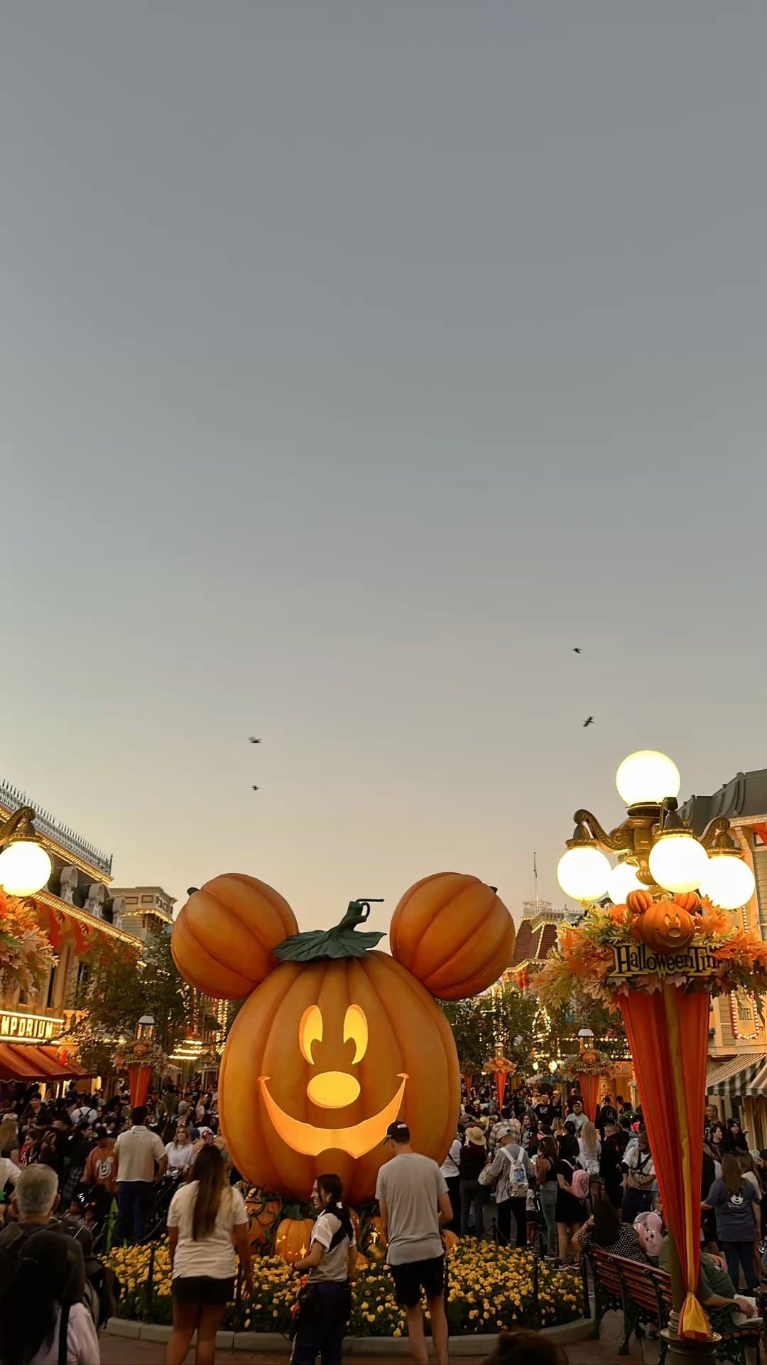 Disney Land Oogie Boogie Nights/ Disney World Micky and Minnie’s not so scary Halloween party outfit ideas !! 

#LTKActive #LTKTravel #LTKSeasonal