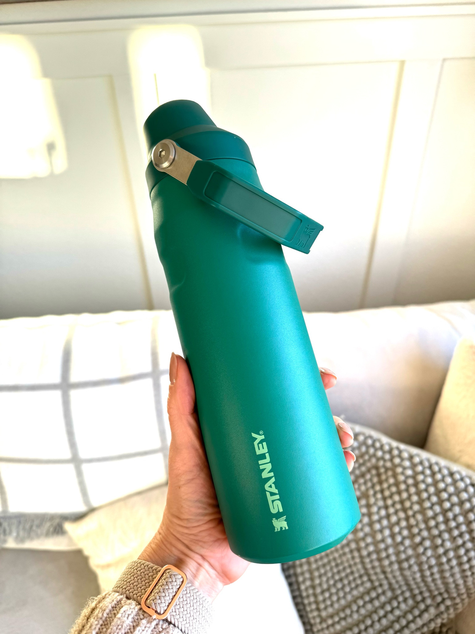 The Mew Stanley water bottle, comes in 3 sizes and tons of colors.
a great gift idea!

#LTKGiftGuide #LTKfindsunder50 #LTKHoliday
