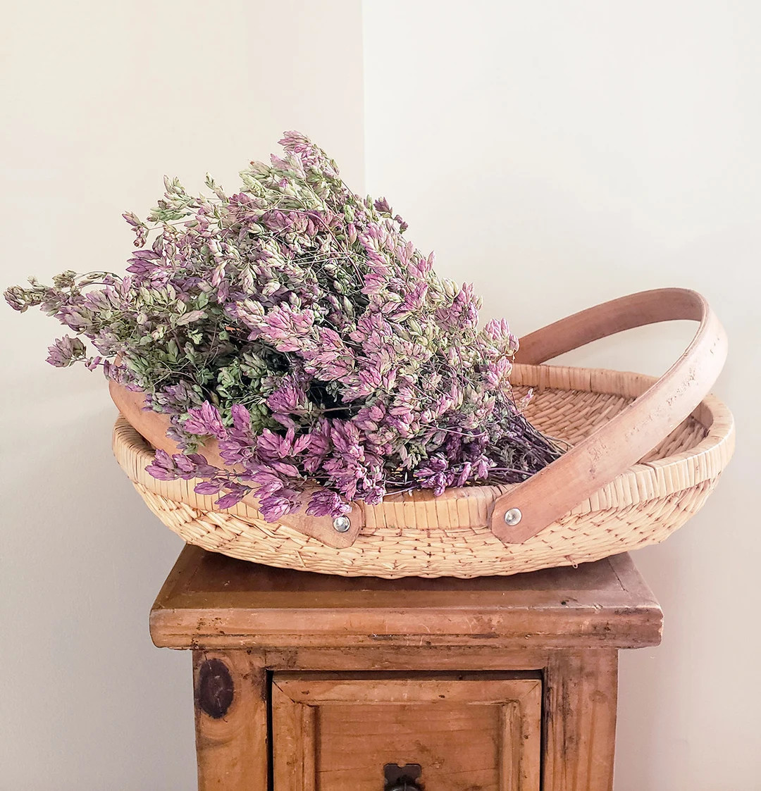 Dried Purple Oregano Santa Cruz Dried Flowers Wild Flowers - Etsy | Etsy (US)