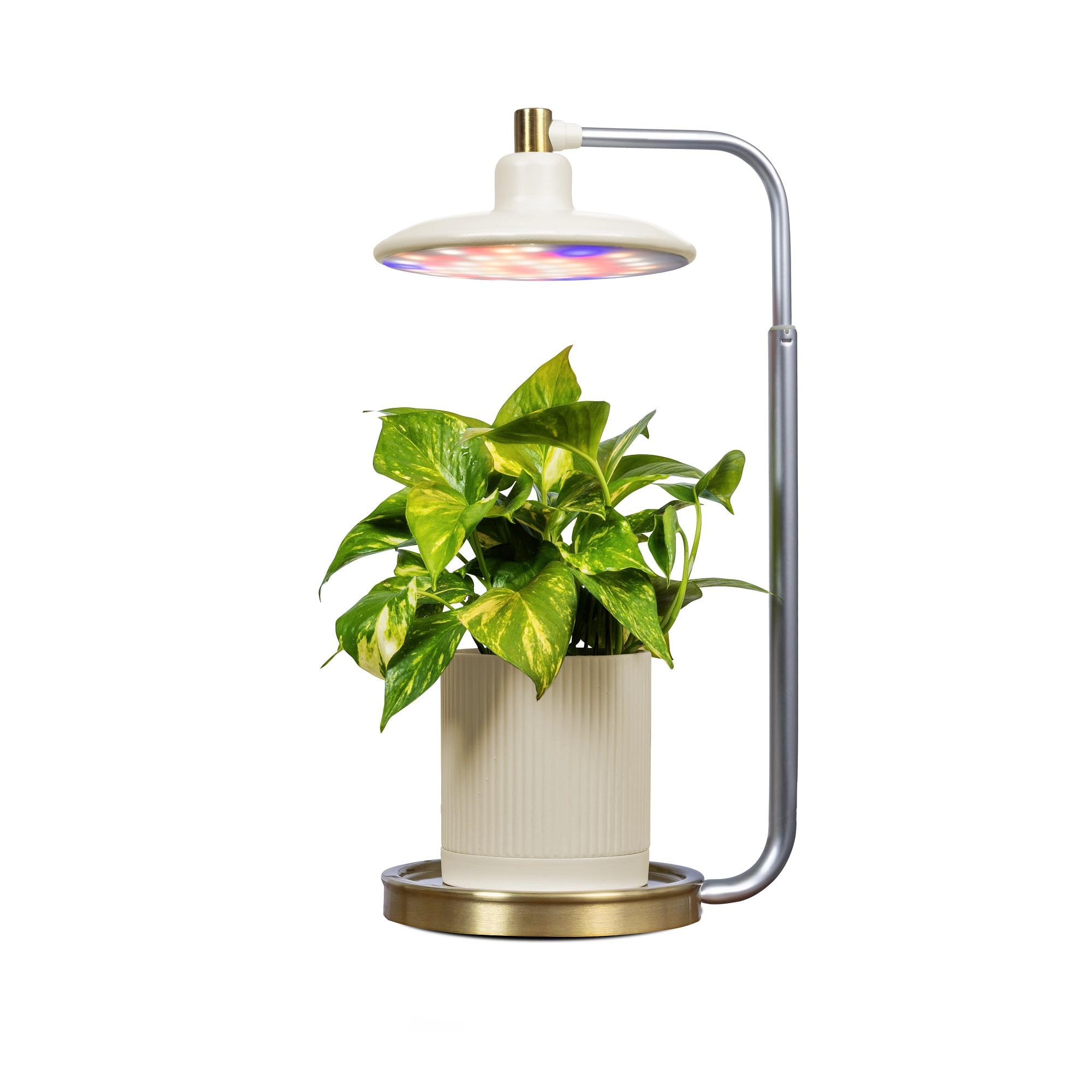 AeroGarden Tabletop Grow Light for Indoor Plants, Grow Live Plants Anywhere in The Home, Adjustab... | Amazon (US)