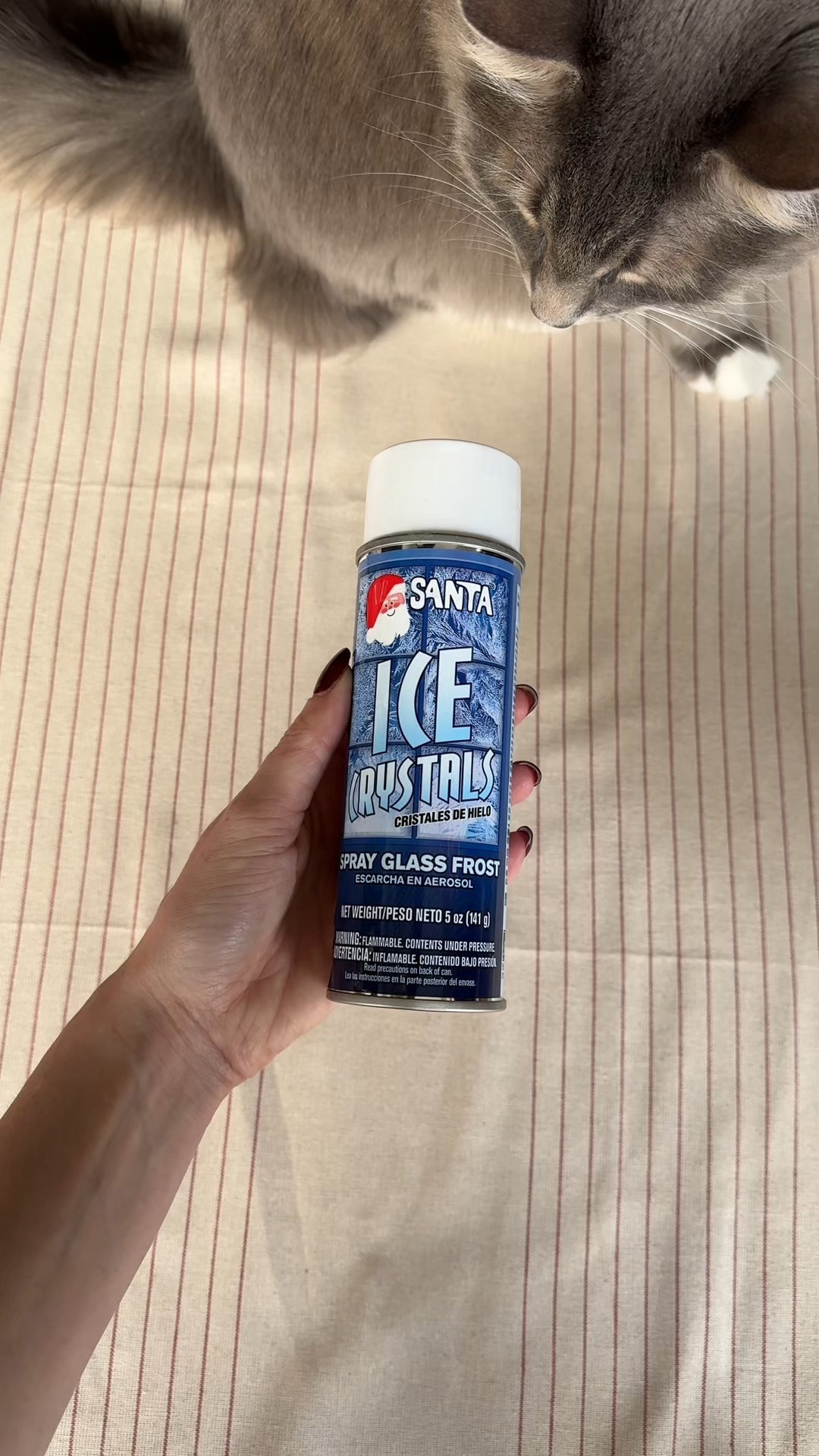 santa’s ice crystals!! ralph lauren uses this on their holiday window displays 😍😍

#christmasdecor #icecrystals #festivehomedecor #amazonfinds #amazonchristmas