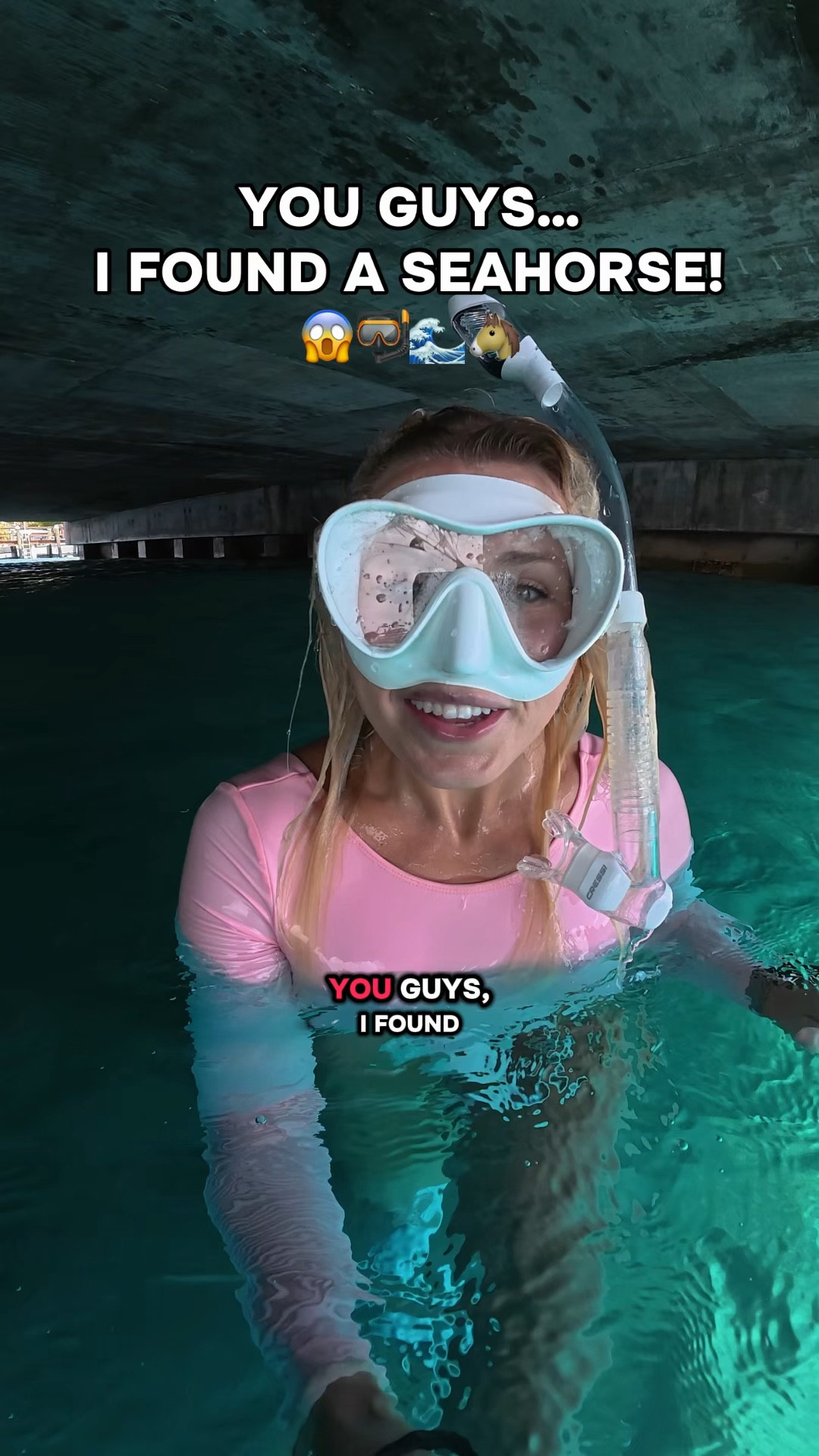 I can’t believe there were TWO!🥹🫶🌊🐴 I’m going back here AGAIN tomorrow so come back to see if they’re still there, and what else I find!🩵🦈🐙🐢

#seahorse #florida #freediving #ocean #diving 

#LTKActive #LTKSwim #LTKTravel