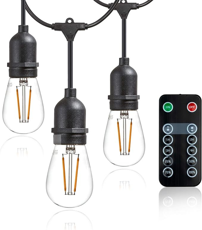 Newhouse Lighting LED String Lights with Weatherproof Technology, Dimmable with Wireless Remote C... | Amazon (US)