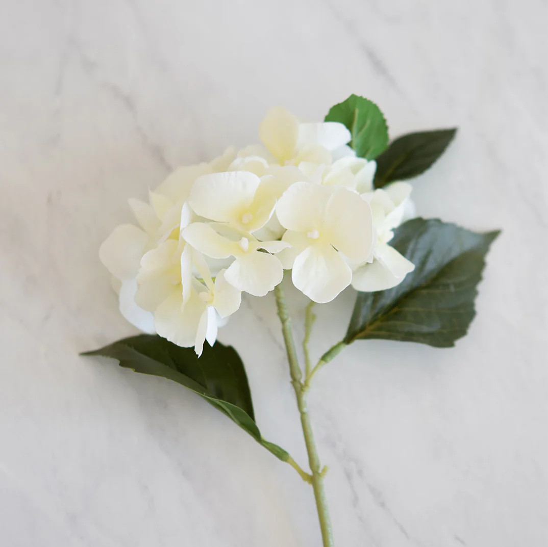 Celeste Hydrangea Stem | Elements by Remedy