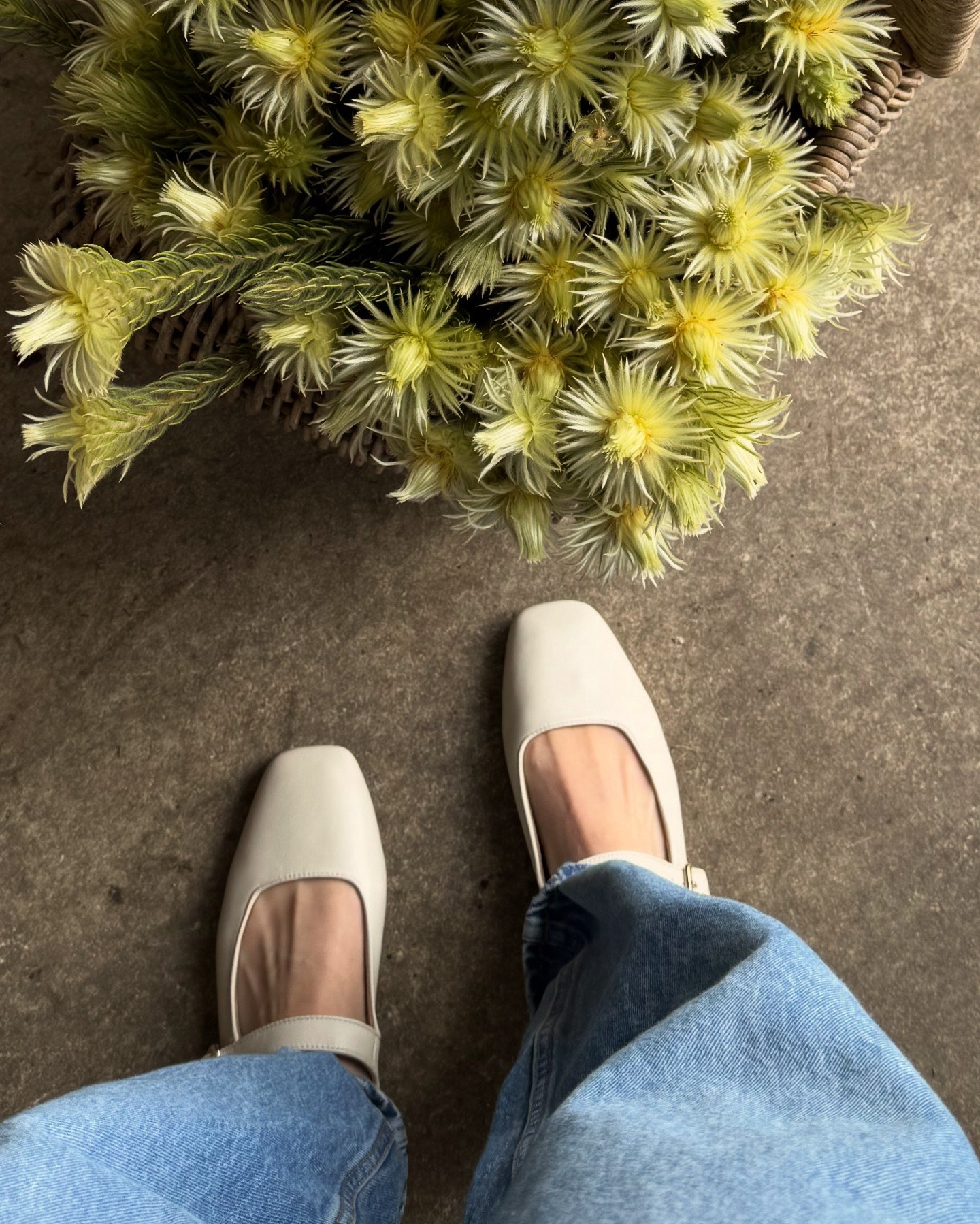 Spring vibes and the most perfect creamy square toe ballet flats 🤎

Nude footwear
@hausandvogue

#LTKpetite #LTKaustralia #LTKspring