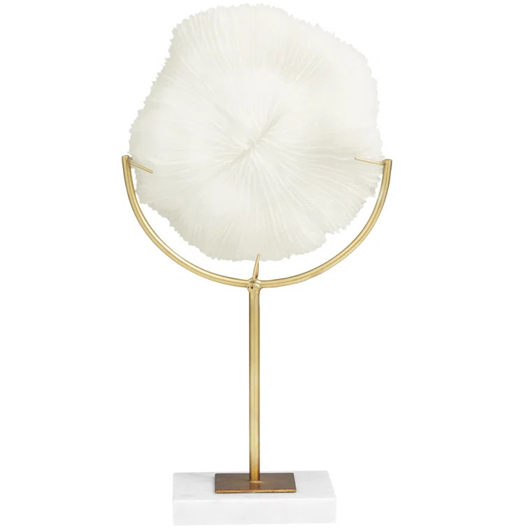 Ezell Coral Sculpture | Wayfair North America