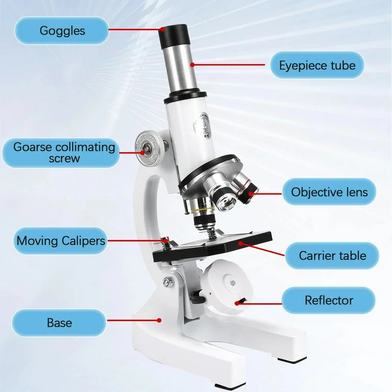Kids Microscope Kit - Anpro Microscope for Kids 400X-24000X, Microscope with Slides Kit, Biologic... | Walmart (US)