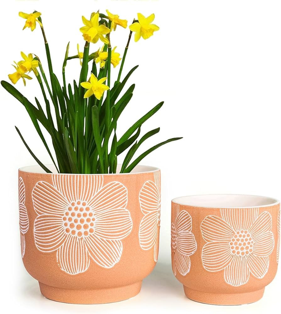 YBX 8 Inch + 6 Inch White Flower Pattern Plant Pots, Sand Glazed Ceramic Planter with Drainage Ho... | Amazon (US)