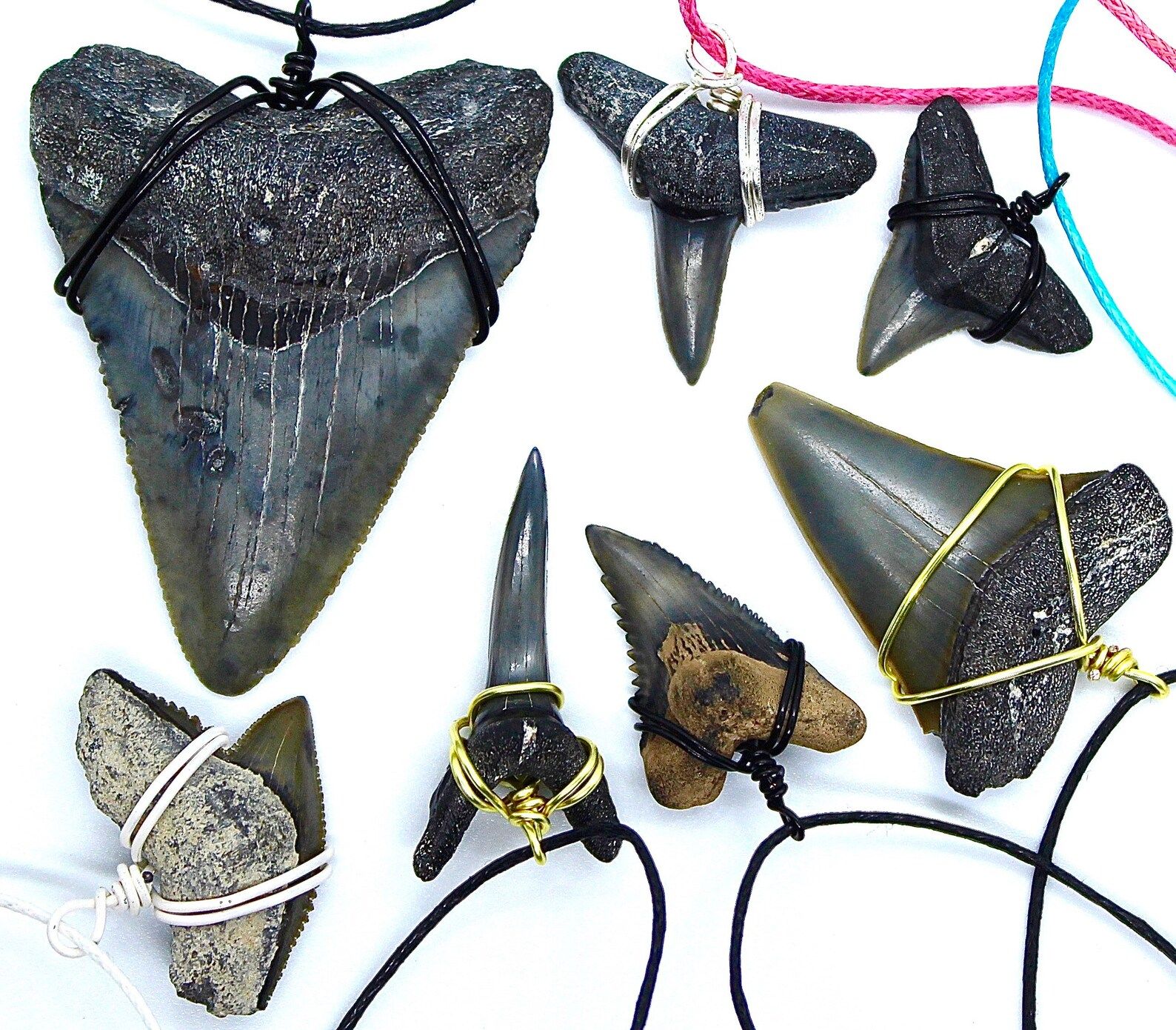 CUSTOM SHARK TOOTH Necklace Real Shark Tooth Necklace Shark | Etsy | Etsy (US)
