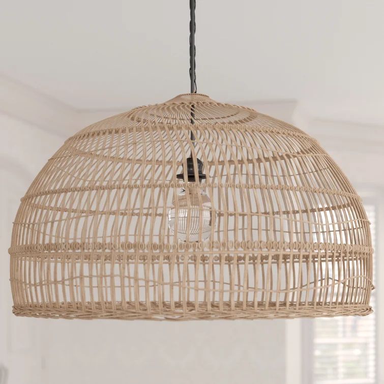 Eindhoven 1 - Light Single Dome Pendant | Wayfair North America