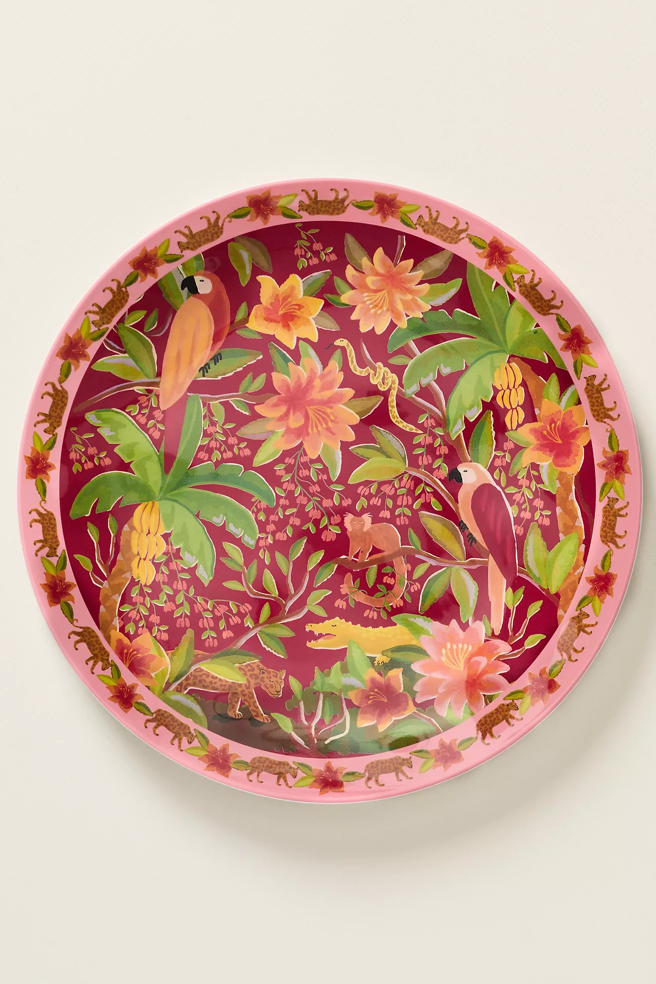 Farm Rio x Anthropologie Melamine Dinner Plates, Set of 4 | Anthropologie (US)