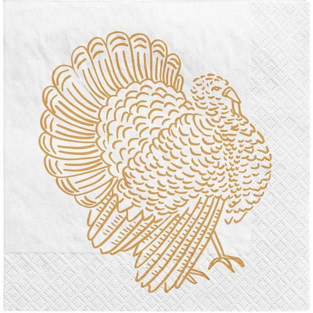 20ct Thanksgiving Lunch Paper Napkins White - Spritz&#8482; | Target