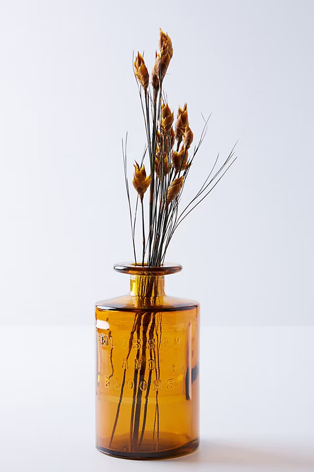 Blossom and Blooms Apothecary Jar | Anthropologie (US)