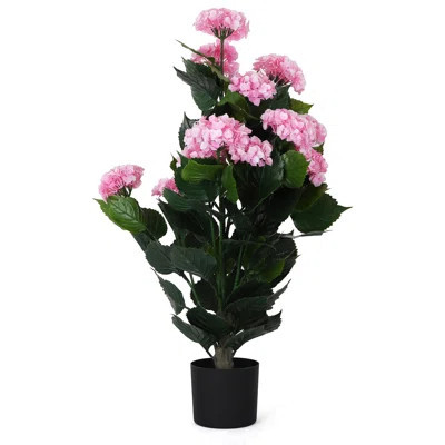 Potted Hydrangea - Small | Wayfair North America