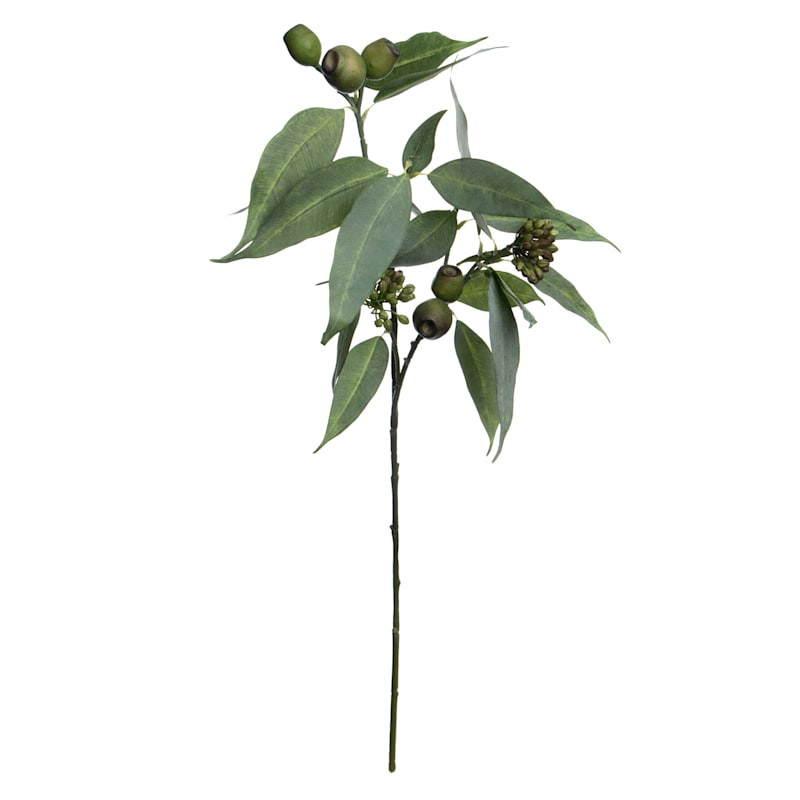 Eucalyptus & Seed Spray, 32" | At Home