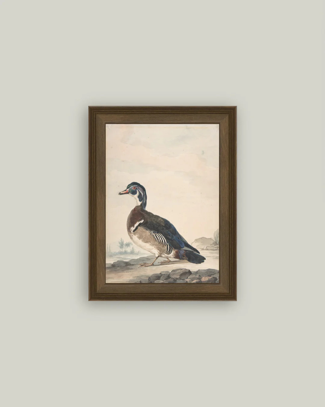 A Duck | Petal Lane