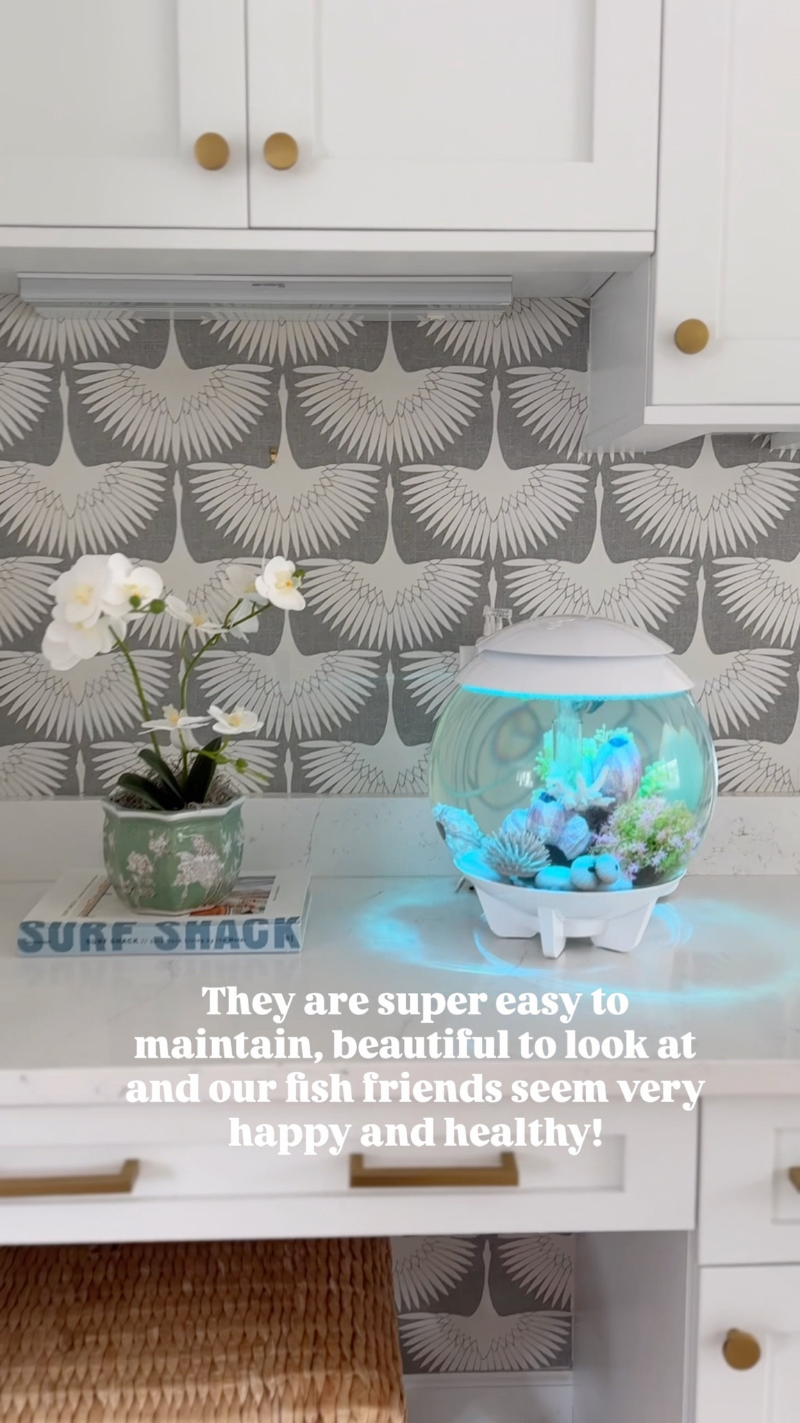 The biorb fishtanks have been a family favorite for quite some time. They are stunning, easy to maintain and my children are absolutely obsessed!! Not to mention our fish and snails seem to be thriving! 🤗. 