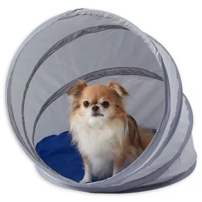 Pawslife® Small Cool Pod Portable Pet Shelter | Bed Bath & Beyond | Bed Bath & Beyond