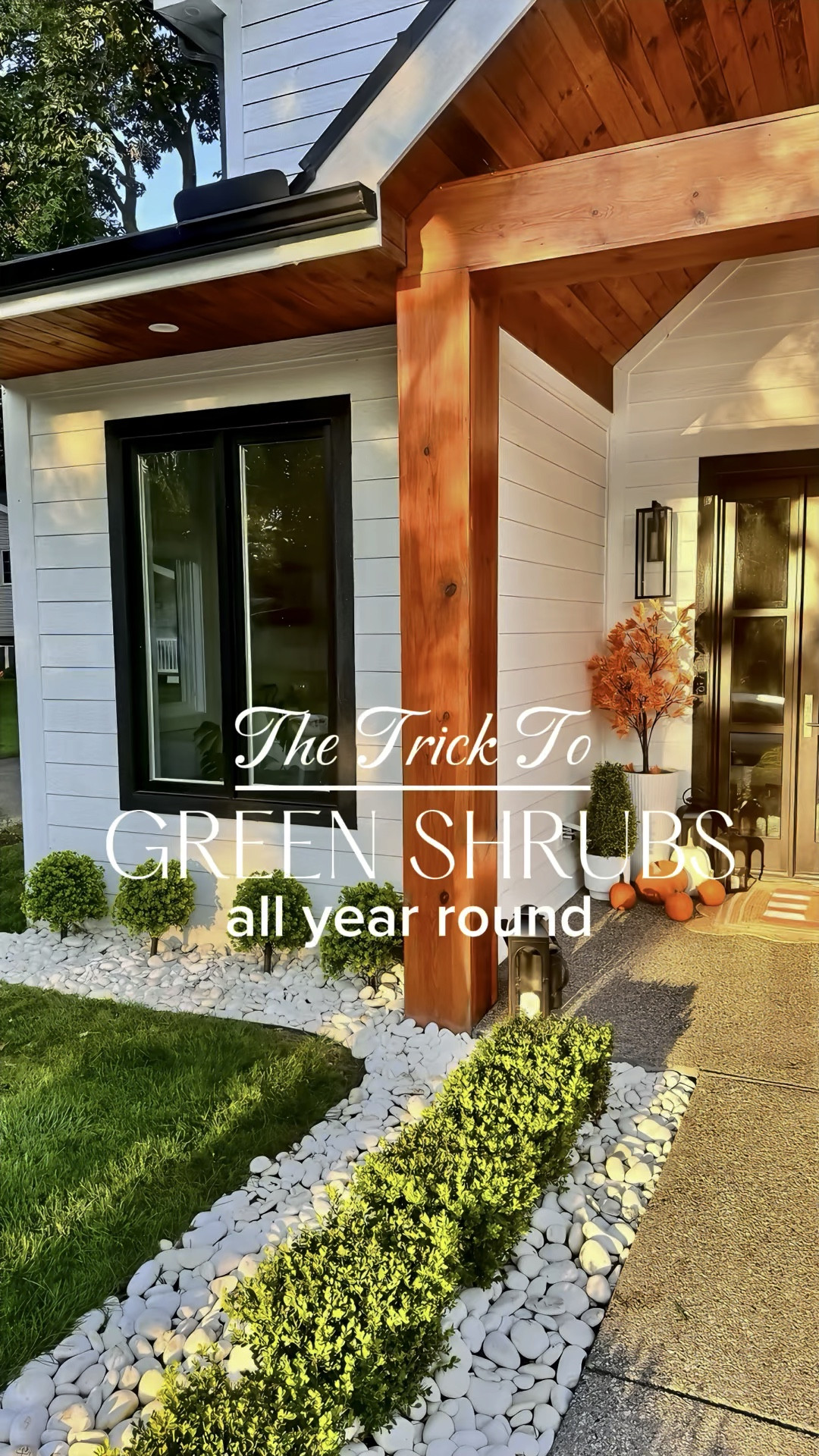 Keep Your Outdoor Space Green all Year Long

DIY | Outdoor Living | Outdoor Design | Shrubs | Outdoor Space | Landscaping @poetree.online

#LTKSeasonal #LTKHome #LTKVideo