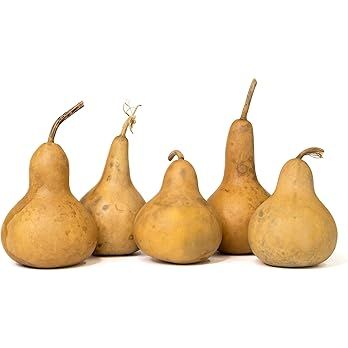 Box of 5 Dried Martin Gourds - 3" Diameter, Ready for Crafting or Decorating | Amazon (US)