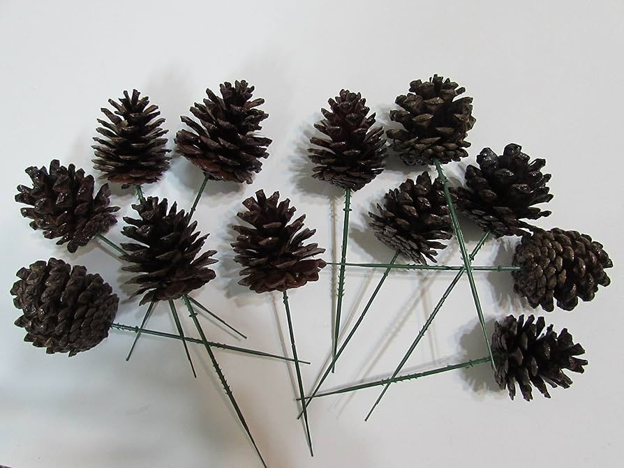 Natural Pinecones with Floral Pick - 2 Inch Pinecones with 5" Green Wired Pick - Set of 12 (Natur... | Amazon (US)