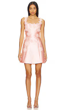ELLIATT x REVOLVE Elder Dress in Blush from Revolve.com | Revolve Clothing (Global)