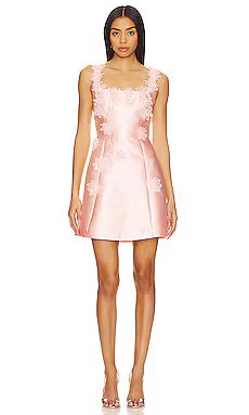 ELLIATT x REVOLVE Elder Dress in Blush from Revolve.com | Revolve Clothing (Global)