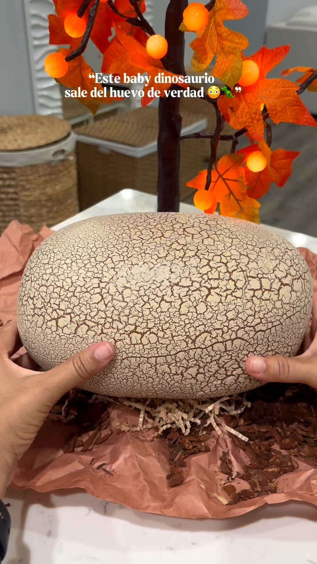 Un dinosaurio que sale de un huevo de verdad @amazon 

#LTKKids #LTKSeasonal #LTKFamily