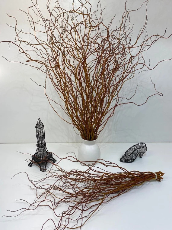 Fresh Curly Willow, Red curly willow, Green Curly Willow, Yellow Curly willow, Fresh Evergreens | Etsy (US)