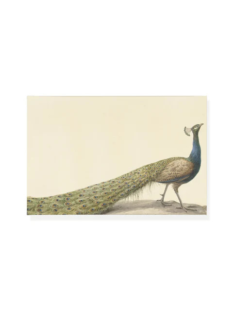 Mr. Peacock | Canvas | Lindsay Letters, LLC
