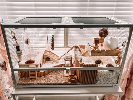 Hamster cage setup. Small pet setup  

#LTKhome #LTKkids #LTKunder50