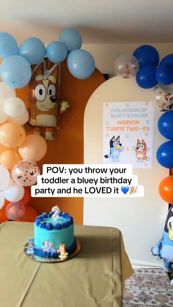 Everything from our bluey birthday party 🧡💙

#LTKCyberWeek

#LTKFamily #LTKKids #LTKSaleAlert