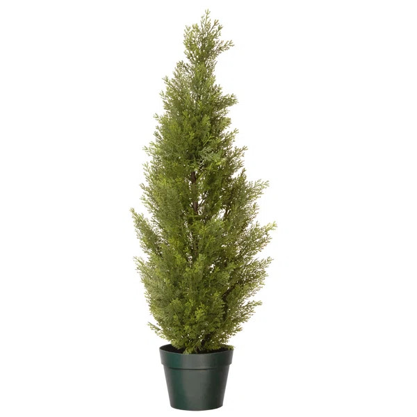 Herodias Faux Cedar Topiary in Pot | Wayfair North America