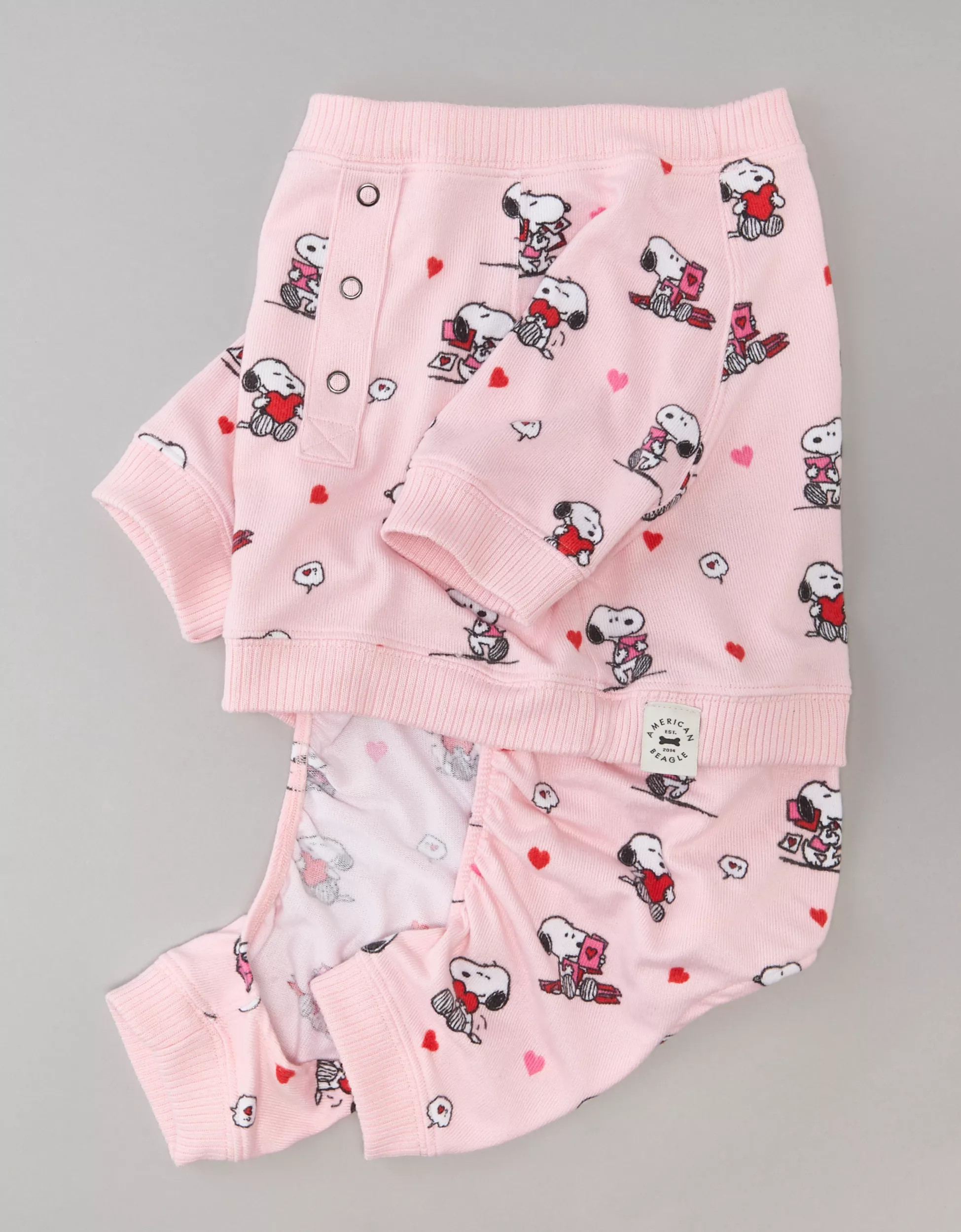 AE Peanuts Valentine Plush Dog PJ Set | American Eagle Outfitters (US & CA)