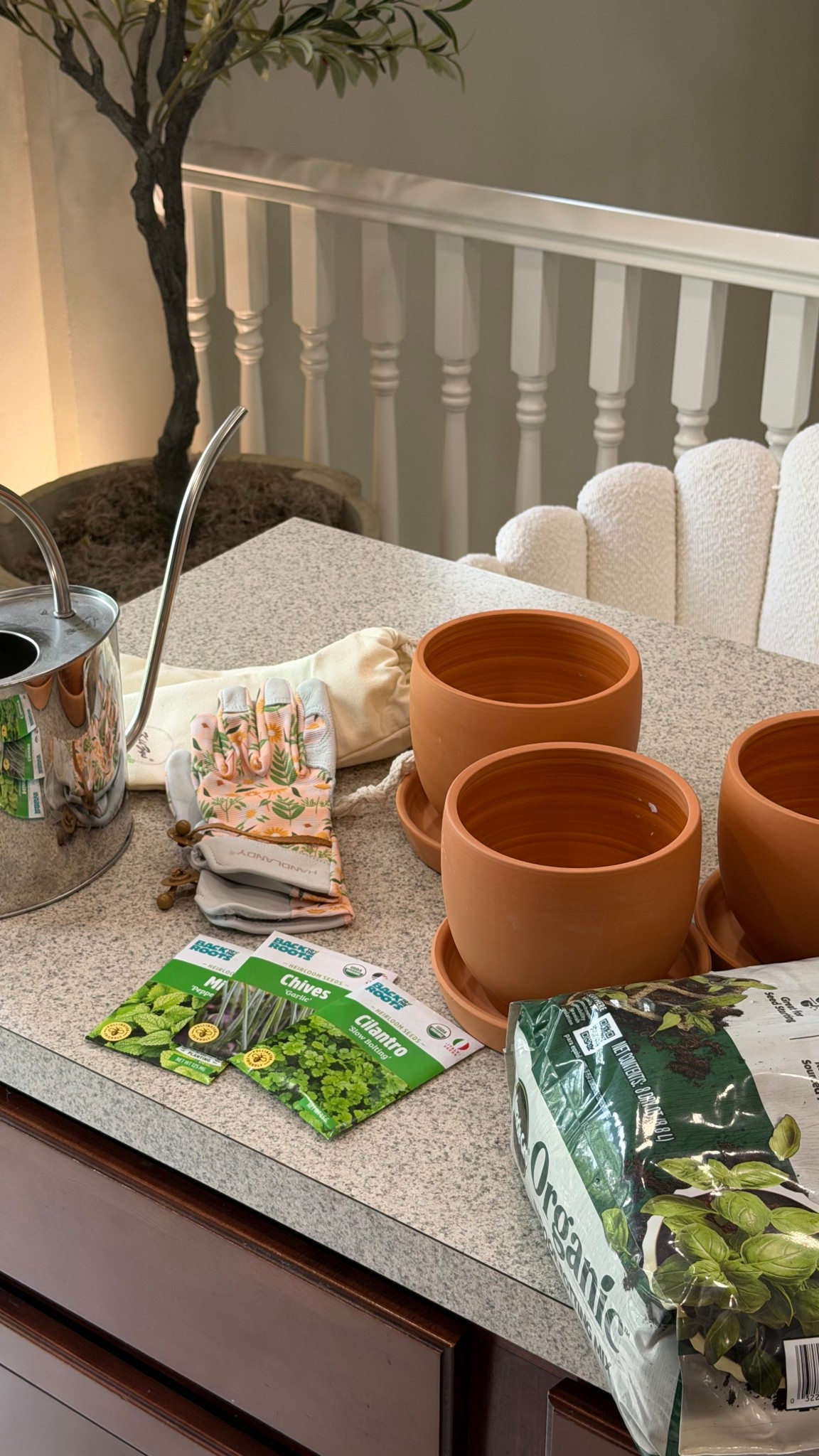 Everything I used to plant my new seeds! 🪴🫶🏼✨

#LTKdayinmylife #LTKselfcare #LTKmorningroutine