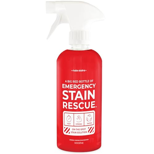 Emergency Stain Rescue Remover Spray – 16oz Laundry Stain Remover for Clothes, Upholstery, Carpet - from the makers of Miss Mouthâ€™s Messy Eater Stain Treater | Amazon (US)