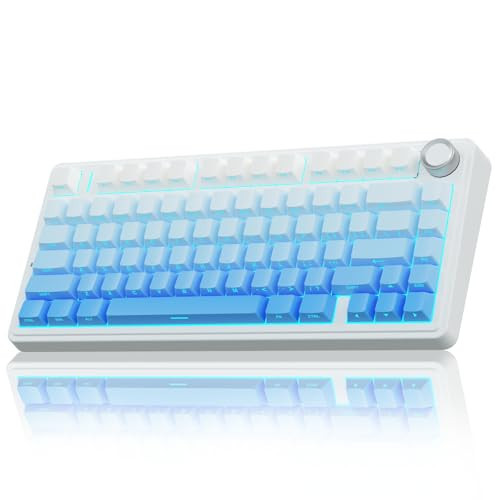AULA F75 Pro Wireless Mechanical Keyboard,75% Hot Swappable Custom Keyboard,RGB Backlit,Pre-lubed Linear Switches,Side Printed PBT Keycaps Mechanical Gaming Keyboards,Gradient Blue | Amazon (US)