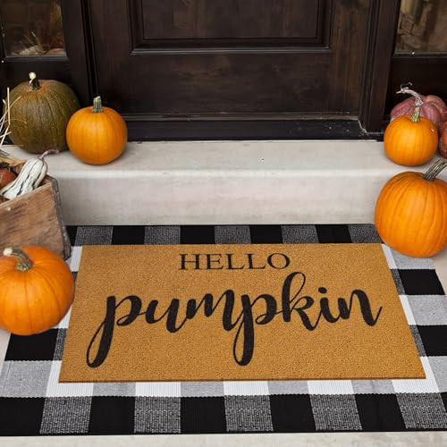 2 Pcs Fall Door Mat Combo Set Imitation Coir Fall Welcome Mat + 43 x 28 Inches Buffalo Plaid Fall Outdoor Rug for Fall Thanksgiving Halloween Rustic Farmhouse Indoor Outdoors Autumn Mats Hello Pumpkin | Amazon (US)