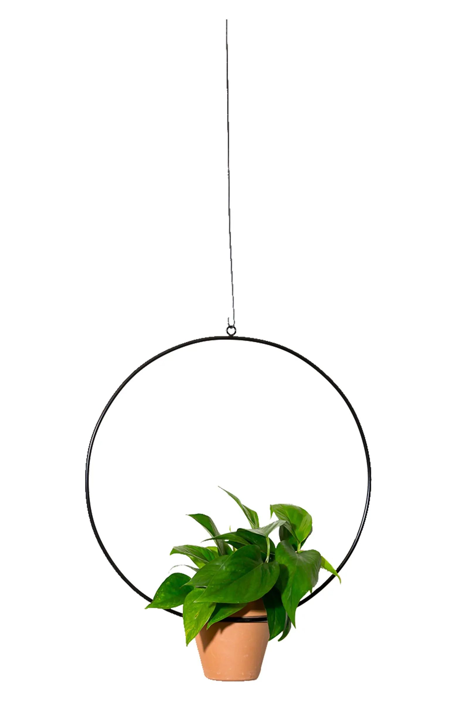 Circle Hanging Planter | Nordstrom