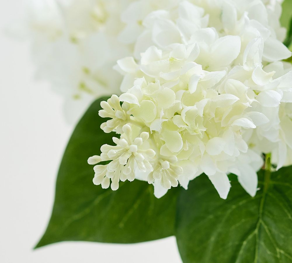 Faux White Lilac Bundle | Pottery Barn (US)