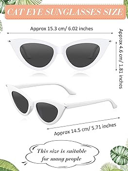 Leinuosen 8 Pairs Retro Cat Eye Sunglass Vintage Sunglass Colorful Women Glass for Party | Amazon (US)