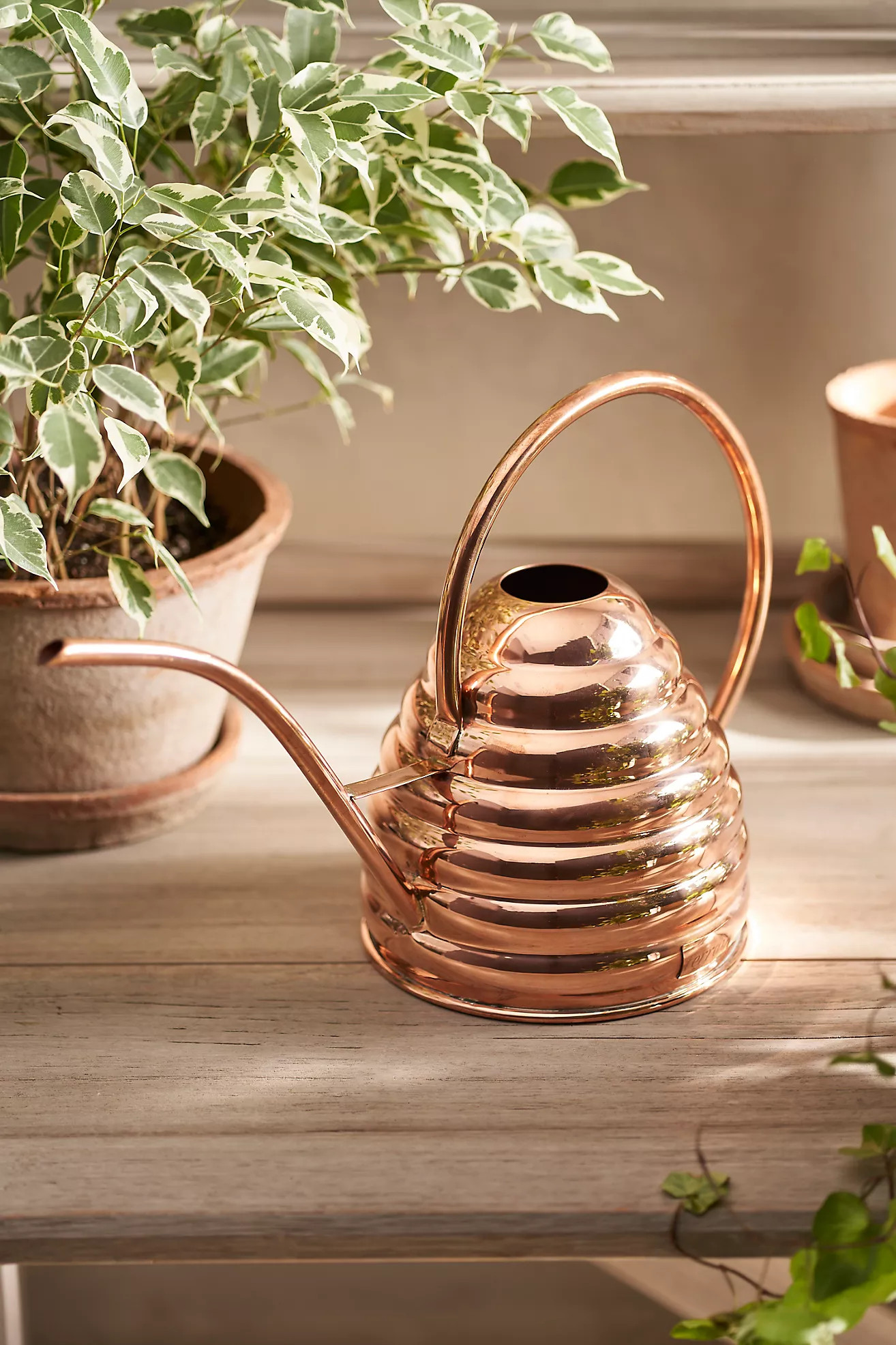 Copper Beehive Watering Can | Anthropologie (US)