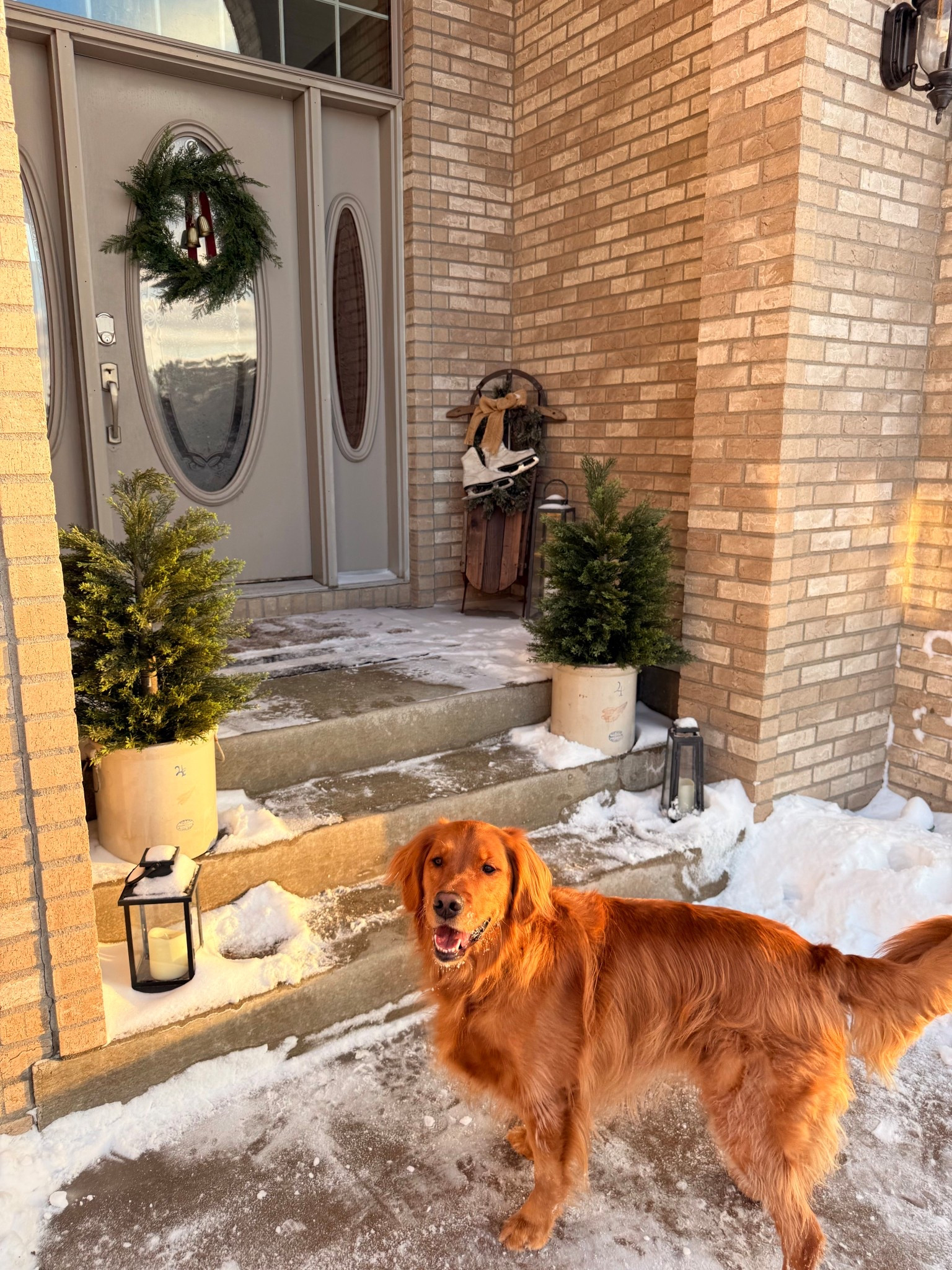 Obsessed with my new front step trees!🌲

#LTKSeasonal #LTKHoliday #LTKHome