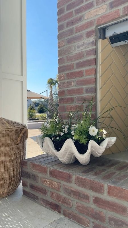 a coastal lovers dream planter 🐚 | run to @loweshomeimprovement for this oversized clam shell planter, it’s lightweight and can be used in so many different ways! -I think I may need a second one 🤭

flowers used:

papyrus
Betty white bacopa 
asparagus fern
petunia

#loweshomeimprovement #plants #flowerpots #plantingdesign #outdoorliving #outdoorspace #springdecor #patiodecor #flowerinspo 

#LTKSeasonal #LTKhome #LTKfindsunder50